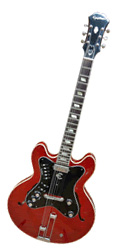 EPIPHONE PROFESSIONAL