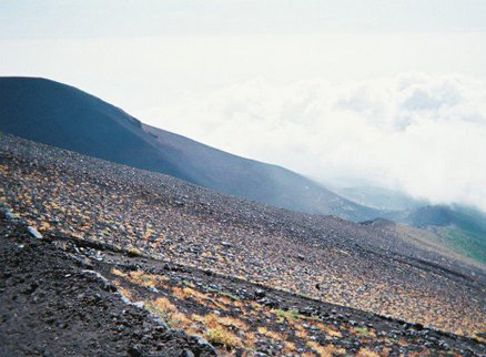 富士山裾野からの光景