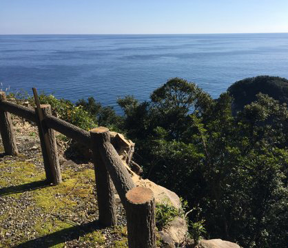 頂上狼煙台跡から眺める太平洋