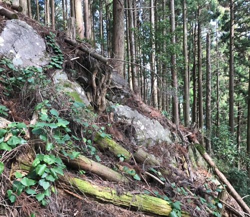 急斜面の岩場が続く若杉山遺跡