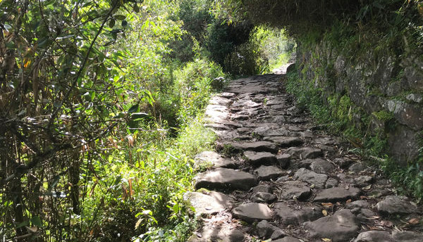 山道をひたすら登ってサンゲートに向かう